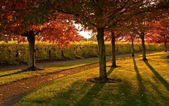 Name HD Park Wallpaper And Photos Landscape