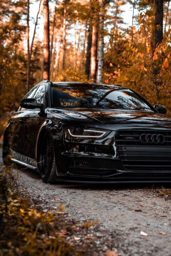 Feline With Her Allblack Bagged Audi A4 B8 Modifiedx Cars