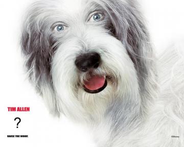 What S The Name Of That Movie Where Tim Allen Turns Into A Shaggy