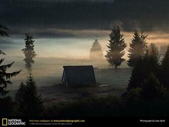 Rustic Cabin Washington