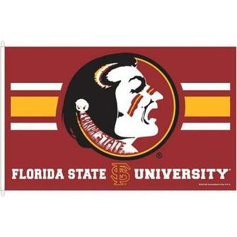 Pin Fsu Spear Logo