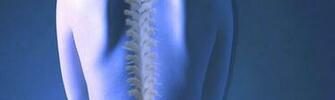 Welcome To Adjustin Chiropractic