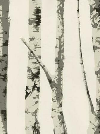 Interior Place White Winter Birch Trees Wallpaper