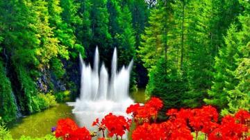 Fountain Cute Red Outdoor Nice Freshness Nature Green Beautiful