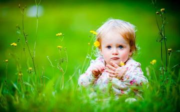 Baby Girl Wallpaper Background PhotosImage And