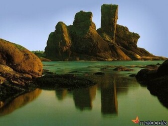 Cool Nature Background Wallpaper