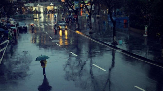 The Rain Wallpaper On