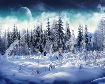 Winter Wonderland Desktop Pc And Mac Wallpaper Car Pictures