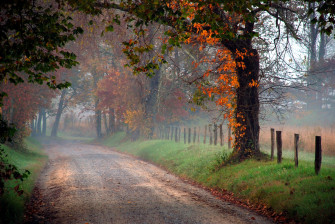 Autumn Lane Wallpaper