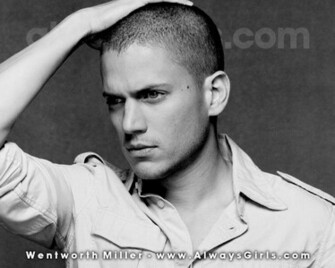 Wentworth Miller Image