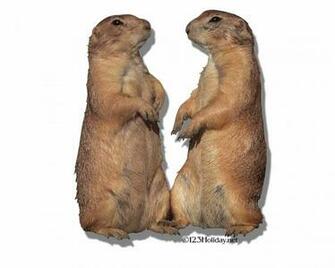 Groundhog Day Wallpaper