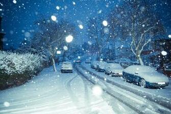 Celebrity Screensaver Wallpaper Picture Theme Snow Tree And