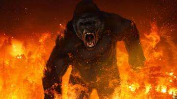 Desktop King Kong Wallpaper Enwallpaper