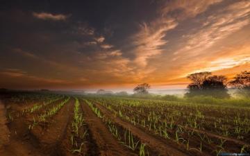 Farm Wallpaper For Desktop