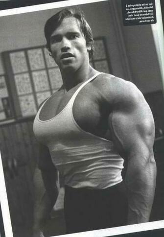 Arnold Bodybuilding Wallpaper Conquer HD Schwarzenegger