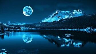 Winter Night In Moonlight Wallpaper Net