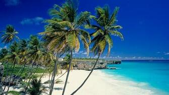 Wallpaper Beach Tropics Sea Sand Palm Trees Beautiful