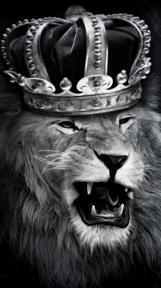 Angry Lion iPhone Wallpaper