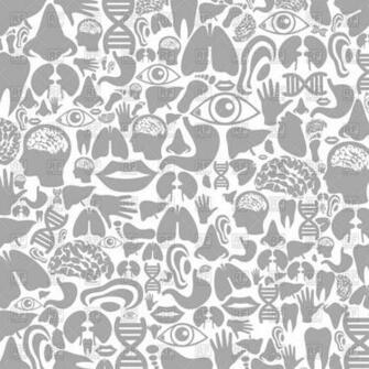 Background With Body Parts Vector Image Of Background Textures