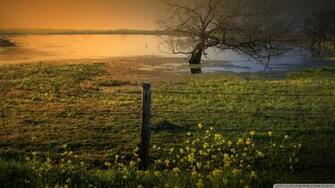 Top Scenic Countryside Wallpaper