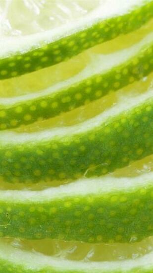 Lime Citrus Slices iPhone HD Wallpaper