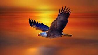 HD Wallpaper Background Of Your