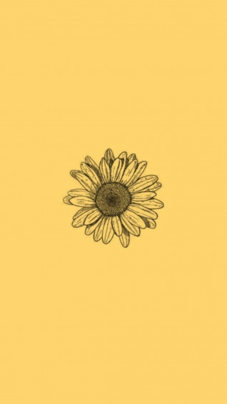 Cute Yellow Sunflower Aesthetic Picture Wallpaper