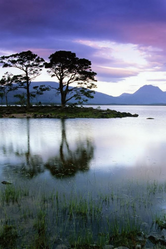Isolated Trees iPhone 4s Wallpaper