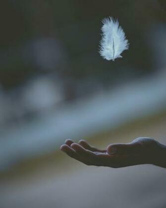 Peace Pictures Image