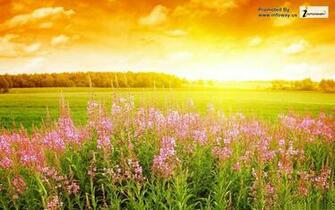 Beautiful Summer Scenery Photo Of Phombo