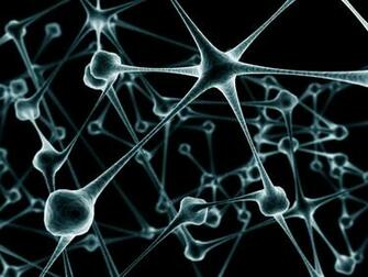 Connections Abstract Brain Dark