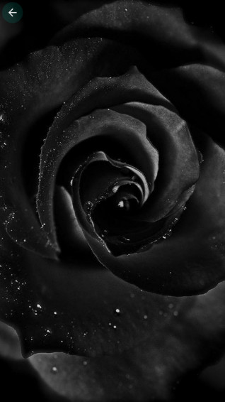 Black Wallpaper HD 4k Dark Background Amazon Appstore For