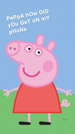 Wallpaper Peppa Pig Memes Funny Phone