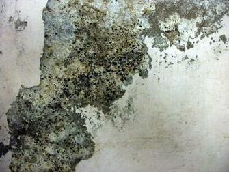 Texture Granite Chipped Paint Wall Rough Dirt Surface Photo Wallpaper