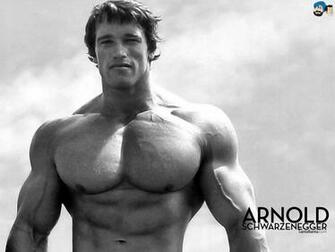 Arnold Schwarzenegger Wallpaper