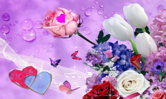 Beautiful Colorful Rose Flower Wallpaper