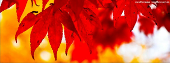 In Is Your Destination For High Quality Autumn Nature