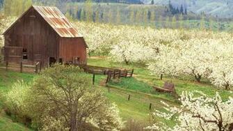 Spring Field Desktop Pc And Mac Wallpaper