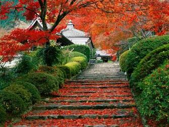 Beautiful Cool Wallpaper Places Of World