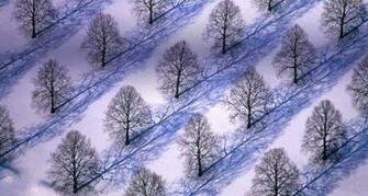 Bing Wallpaper December