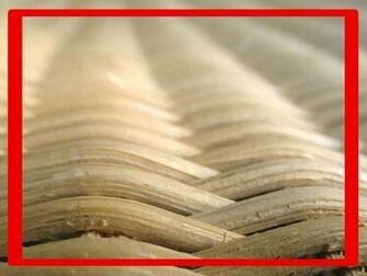 Background Daily Powerpoint
