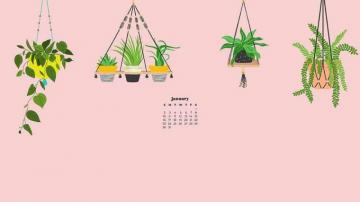 January Wallpaper Calendars For Your Desktop Phone