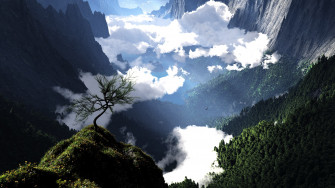 Hi Def Nature Picture Wallpaper
