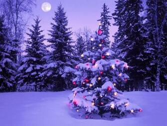 Christmas Widescreen HD Wallpaper Or