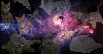 Related Pictures Cats Galaxy Background For Space Cat