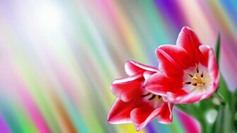 Spring Season Wallpaper HD Unique