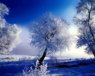 Winter Image Wonderful Wallpaper Photos