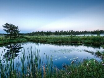 Mirror Glass Pond Wallpaper HD