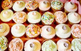 Cupcake Wallpaper And Desktop Background Solo Foods