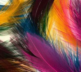 Wallpaper Best Android Live For Your Phone
